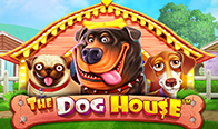 Jogar The Dog House