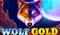 Jogar Wolf Gold
