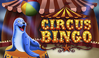 Jogar Circus Bingo