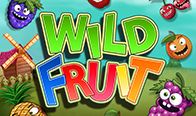 Jogar Wild Fruit