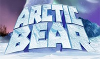 Jogar Arctic Bear