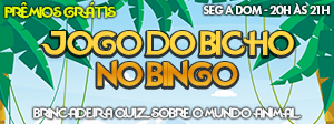 Jogo do Bicho no Bingo