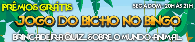 Jogo do Bicho no Bingo