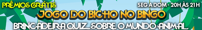 Jogo do Bicho no Bingo