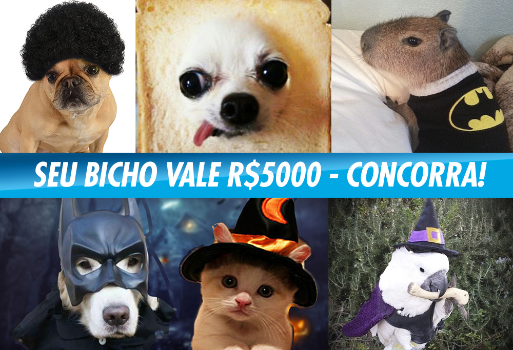 Meu Bicho Lindo vale R$ 5.000!